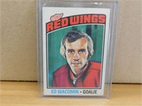 1976-77 Ed Giacomin Hockey Card