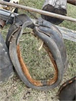 Horse Collar 22" /EACH