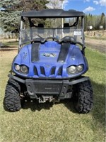 2008 Panterra SS700 Side by Side ATV