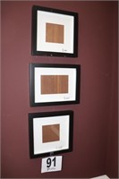 (3) Photo Frames with Mats (R4)