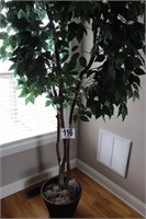 Artificial Ficus Tree in a Basket Planter (R5)
