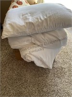 Pillow & queen size bed cover.
