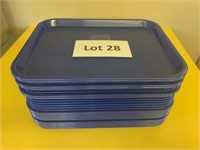 28 +/- Blue Plastic Surving Trays