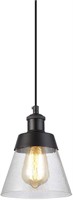 Industrial Pendant Light with Seeded Glass Shade