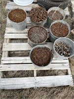 Pallet-pails of assorted sizes of nails