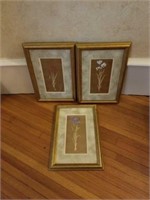 Flower picture frames