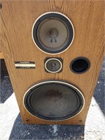 Pioneer Speaker