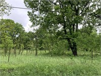 10 Acres +/- wooded, with pond & lots of wildlife