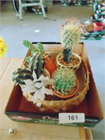Artificial Cactus Plants & Basket