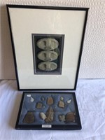 Framed Cherokee & Iroquois Pottery Chards +
