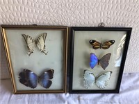 2 Pieces Framed Butterfly Art