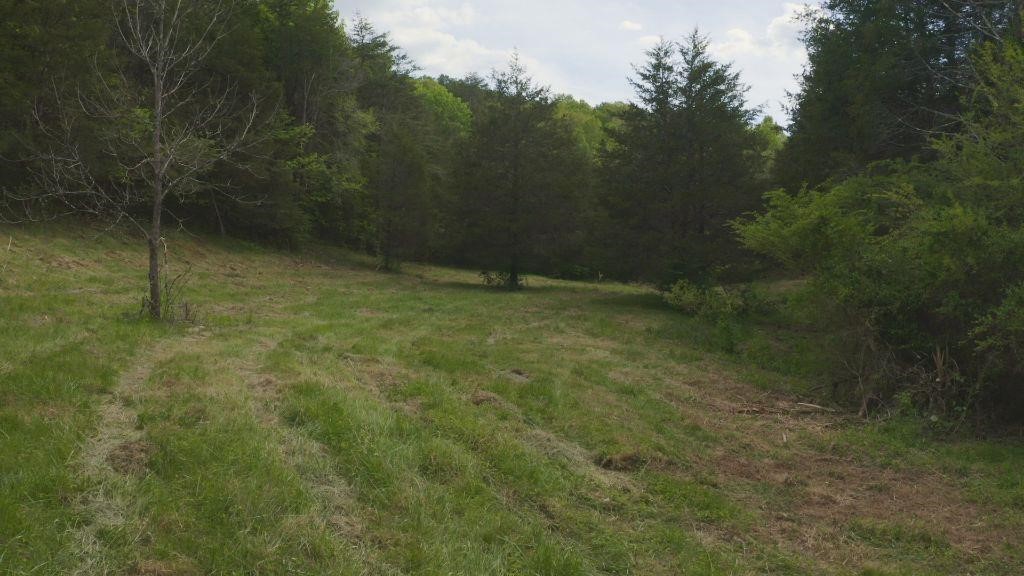 106 Acres Off Raven Fork Road Tazewell, Tennessee 37879