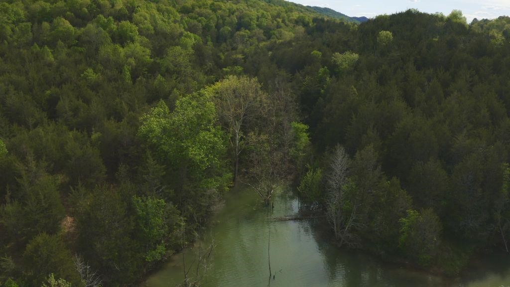 106 Acres Off Raven Fork Road Tazewell, Tennessee 37879