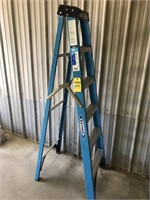 6 ft. Werner Step Ladder