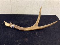 Deer Antler