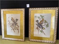 2 Framed & Signed Water Colors / Birds