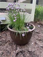 Flower planter with flowers