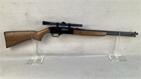 Winchester Model 190 .22L, or L.R.