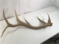 40" Elk Shed
