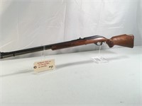 Westpoint Model 601 22 semi auto rifle