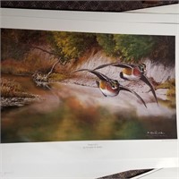 "FLYING COLORS" BY CHRIS WALDEN UNFRAMED PRINT