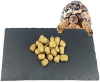 Tfwadmx Reptile Basking Platform, Tortoise