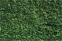 WOLADA 9x6ft Green Leaves Backdrops Microfiber
