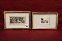 2 Pc. Hand Colored Engravings by Vicente Gandia