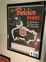 Berkshire Boars Advertisement