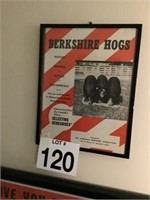 Berkshire Hogs Advertisement