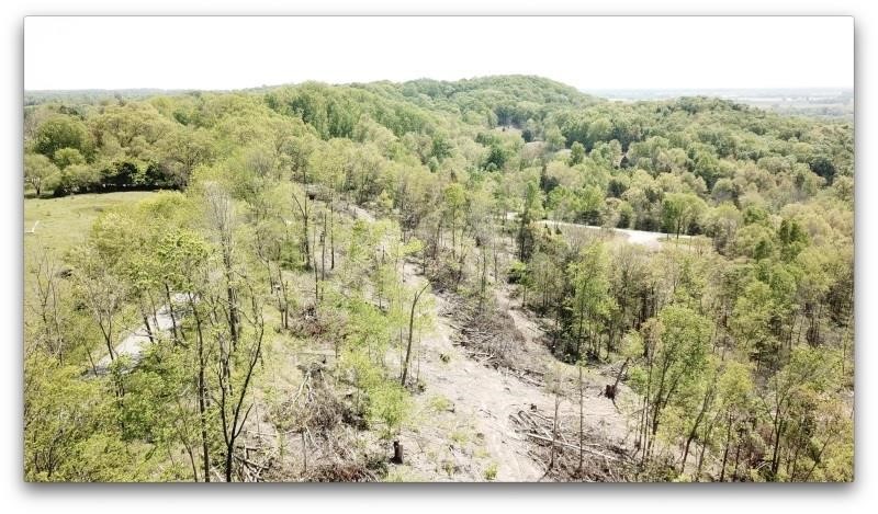 21+/- Acres in 3 Tracts