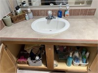 Contents of  2nd Bathroom Vanity