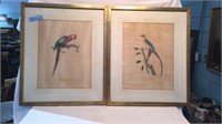 2 COLORED ETCHING OF PARROTS IN FRAMES