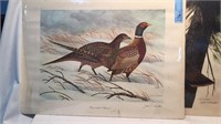 4 WATERFOWL & HUNTING RELATED PRINTS