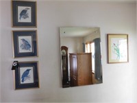 Group of Wall Decor ~ Mirror ~ Bird Pictures