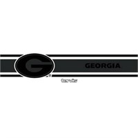 $29.99  NCAA Georgia Bulldogs 12oz Black Stripe