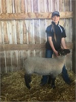 Fort Macleod 4-H Beef Club Auction
