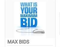 Maximum Bid