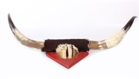 MOUNTED POLISHED STEER HORN AND HOOF 24"
