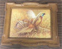 20"x17”. Framed Pheasant Picture. No Shipping