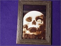 Skull Poto Framed See Pic