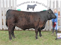 Claresholm 4-H Beef Club Auction