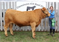 Claresholm 4-H Beef Club Auction