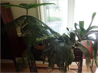 Antique Wicker Plant Stand with Plants