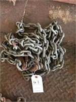 16 ft chain