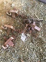 group of animal traps