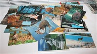 Wisconsin Postcards