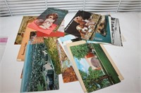 Marshfield Postcards