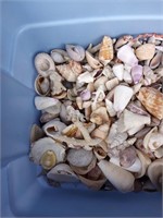 Bin of Decorating Shells