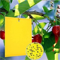 Dual-Sided Yellow Sticky Traps for Capturing